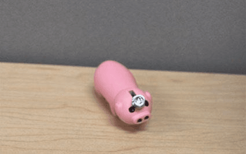 Recalled Somgem Lightweight Tiny Pinky Pig Lighter